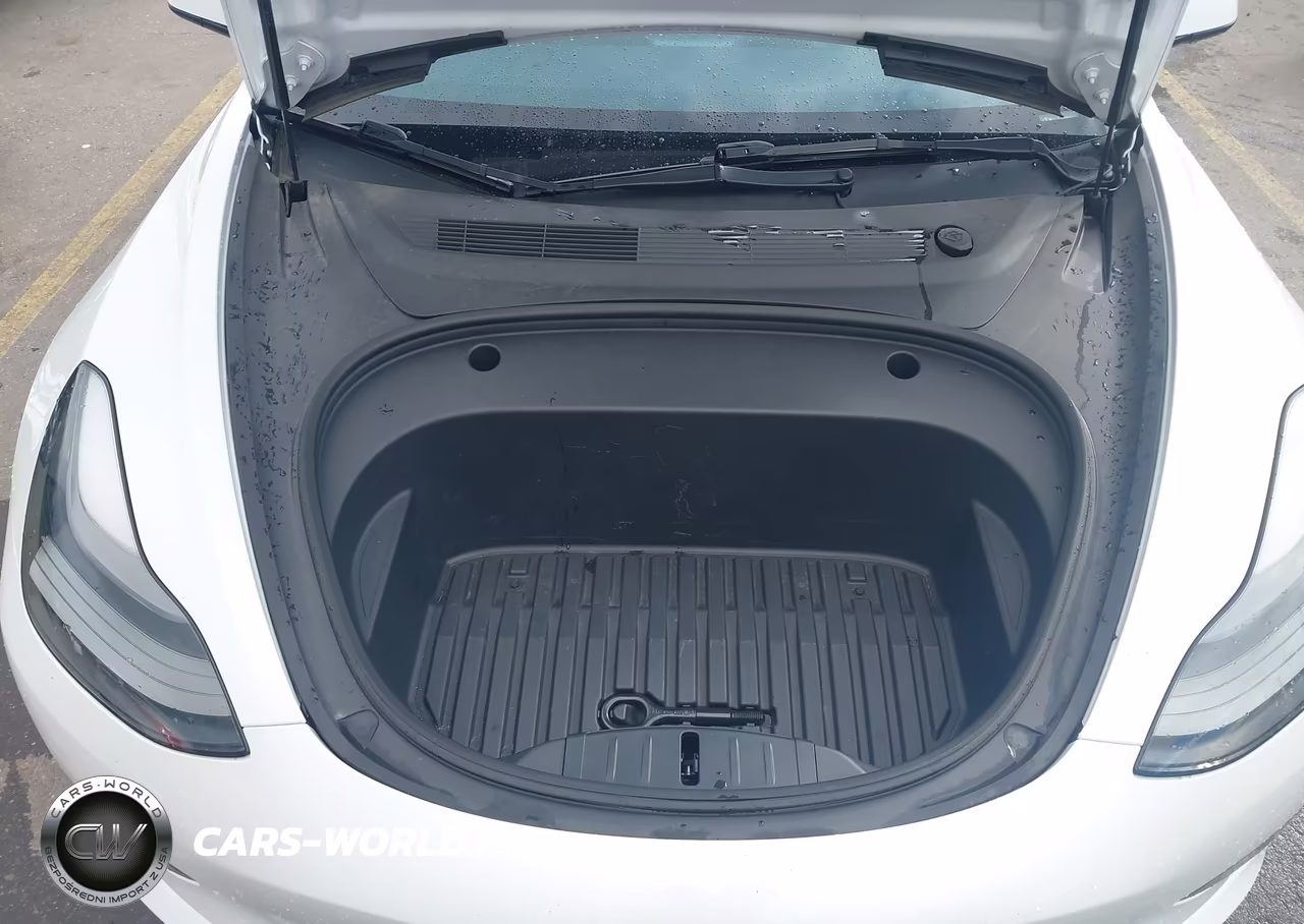 2023 Tesla Model 3 Rear-Wheel Drive VIN:5YJ3E1EA9PF405937 - 10