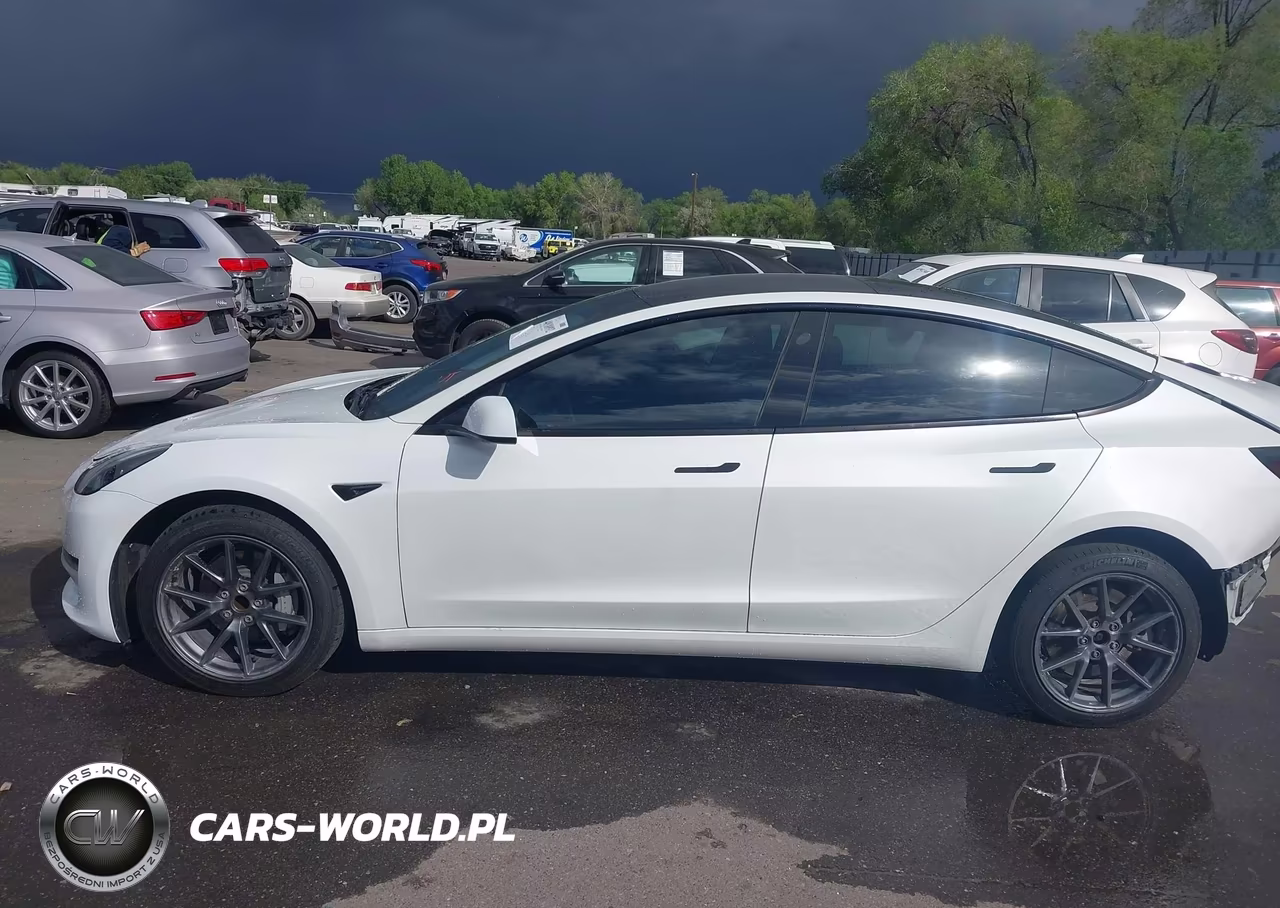 2023 Tesla Model 3 Rear-Wheel Drive VIN:5YJ3E1EA9PF405937 - 15