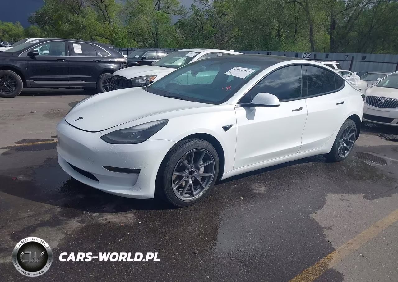 2023 Tesla Model 3 Rear-Wheel Drive VIN:5YJ3E1EA9PF405937 - 2