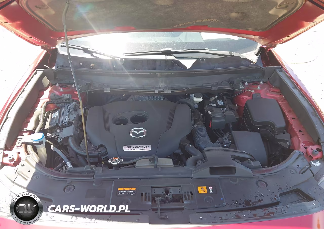 2016 Mazda Cx-9 Touring VIN:JM3TCACY3G0116015 - 10