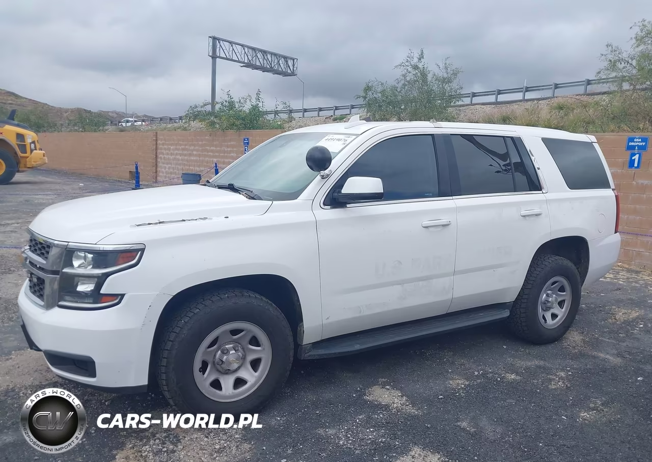 2017 Chevrolet Tahoe Commercial Fleet VIN:1GNSKFEC8HR316964 - 19