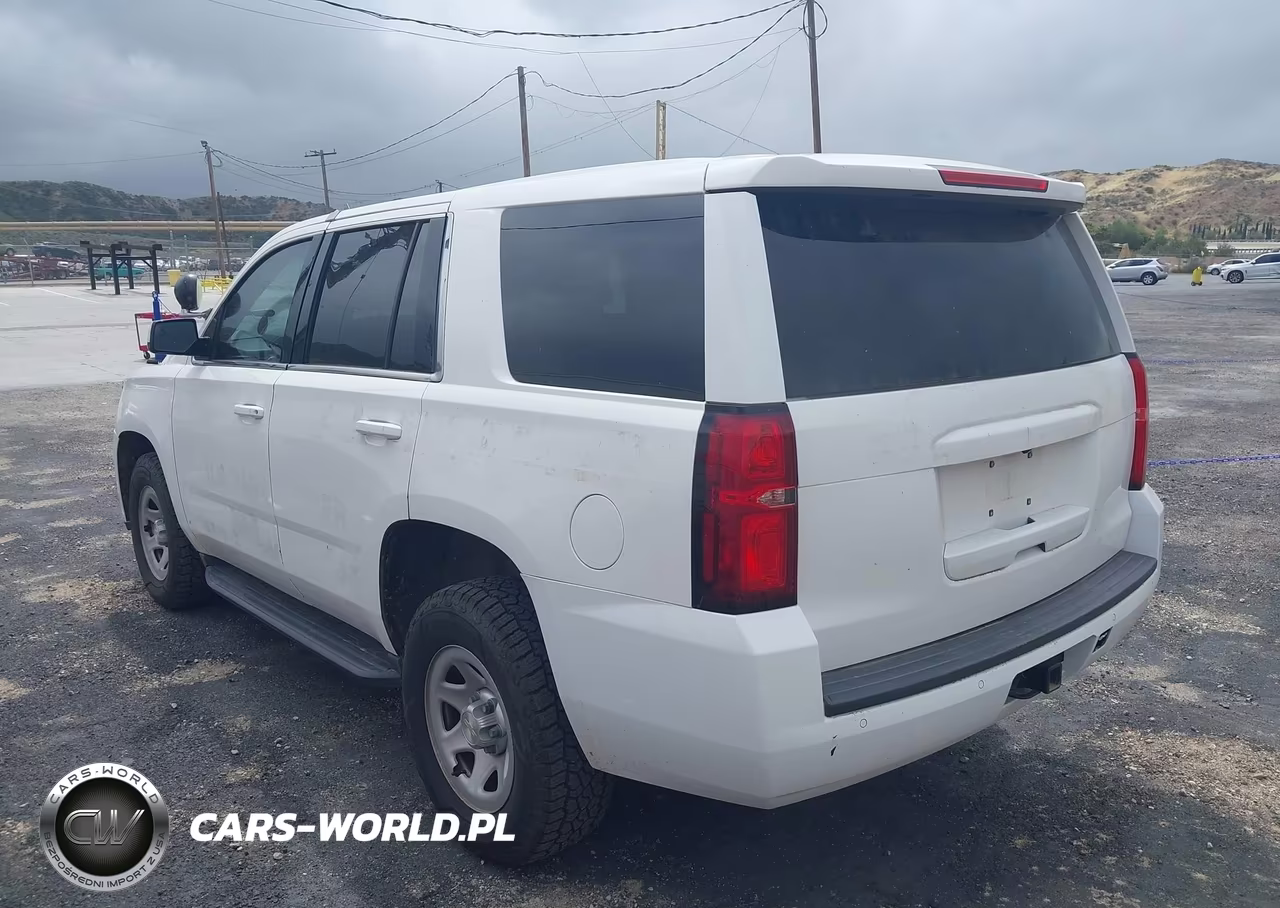 2017 Chevrolet Tahoe Commercial Fleet VIN:1GNSKFEC8HR316964 - 3