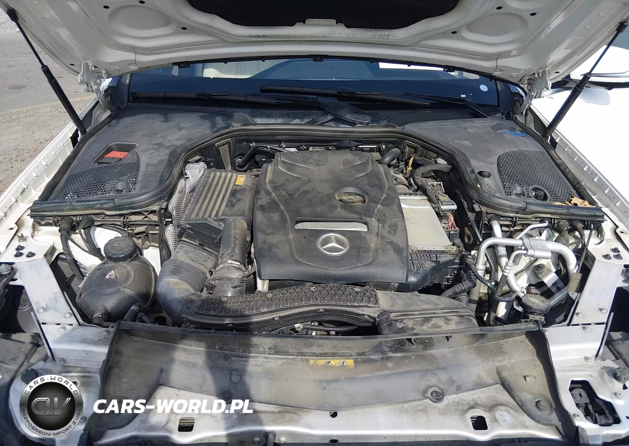 2019 Mercedes-Benz E 300 VIN:WDDZF4JB5KA505984 - 10