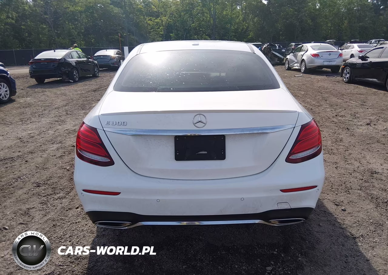 2019 Mercedes-Benz E 300 VIN:WDDZF4JB5KA505984 - 17