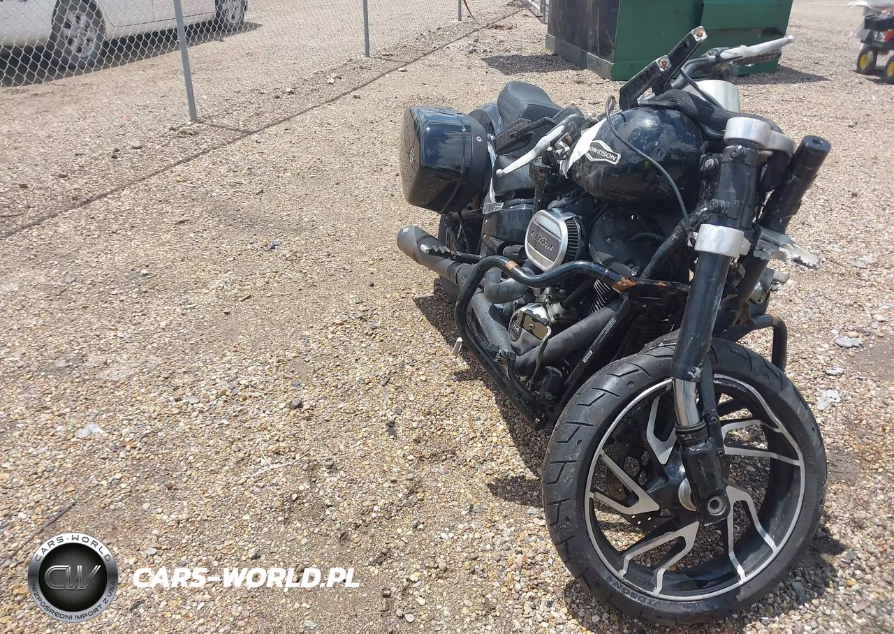 2019 Harley-Davidson Flsb – zdjęcie 1 z 13