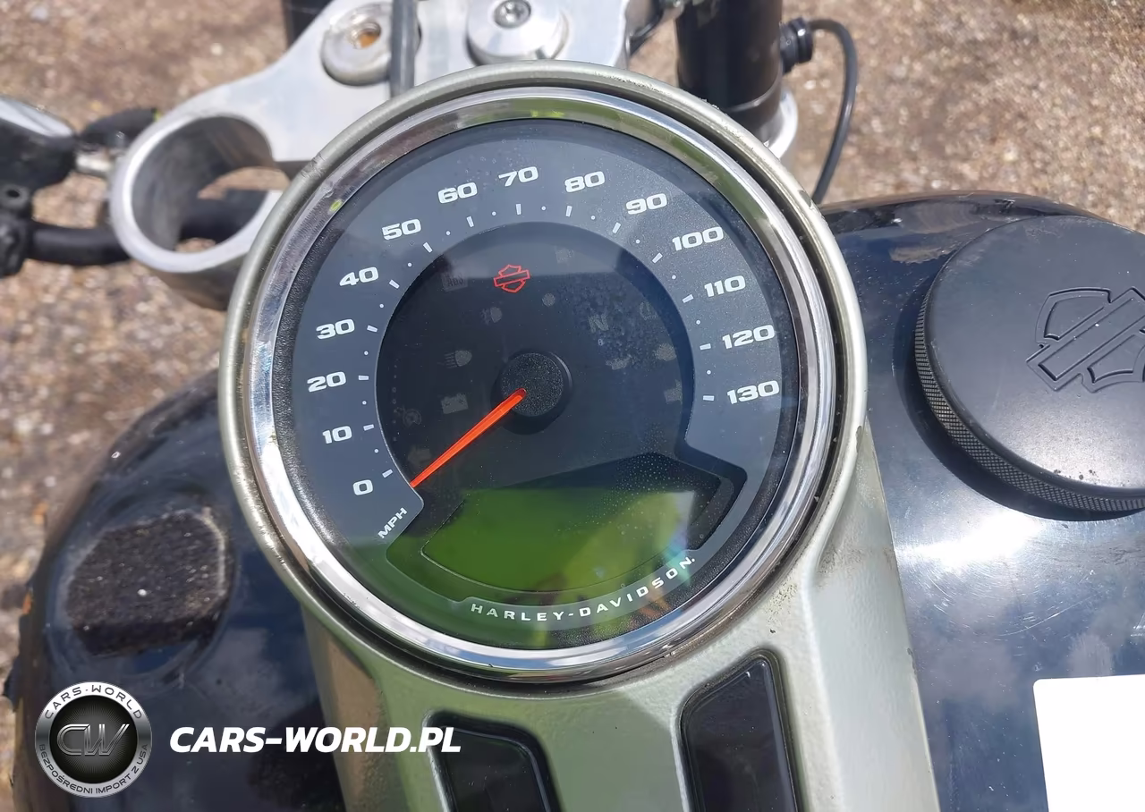 2019 Harley-Davidson Flsb VIN:1HD1YMJ29KB072440 - 7