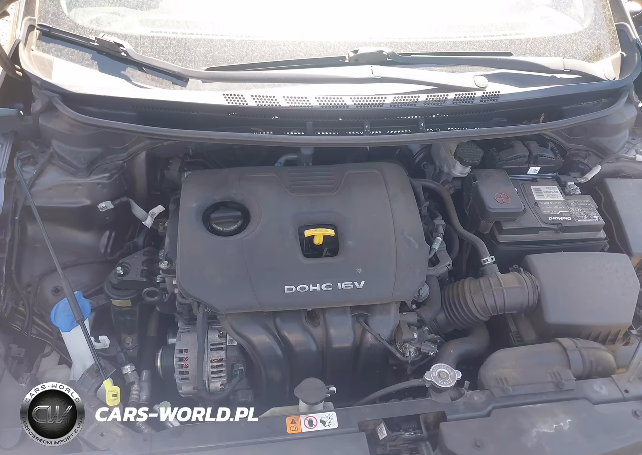 2017 Kia Forte Lx VIN:3KPFK4A78HE137889 - 10