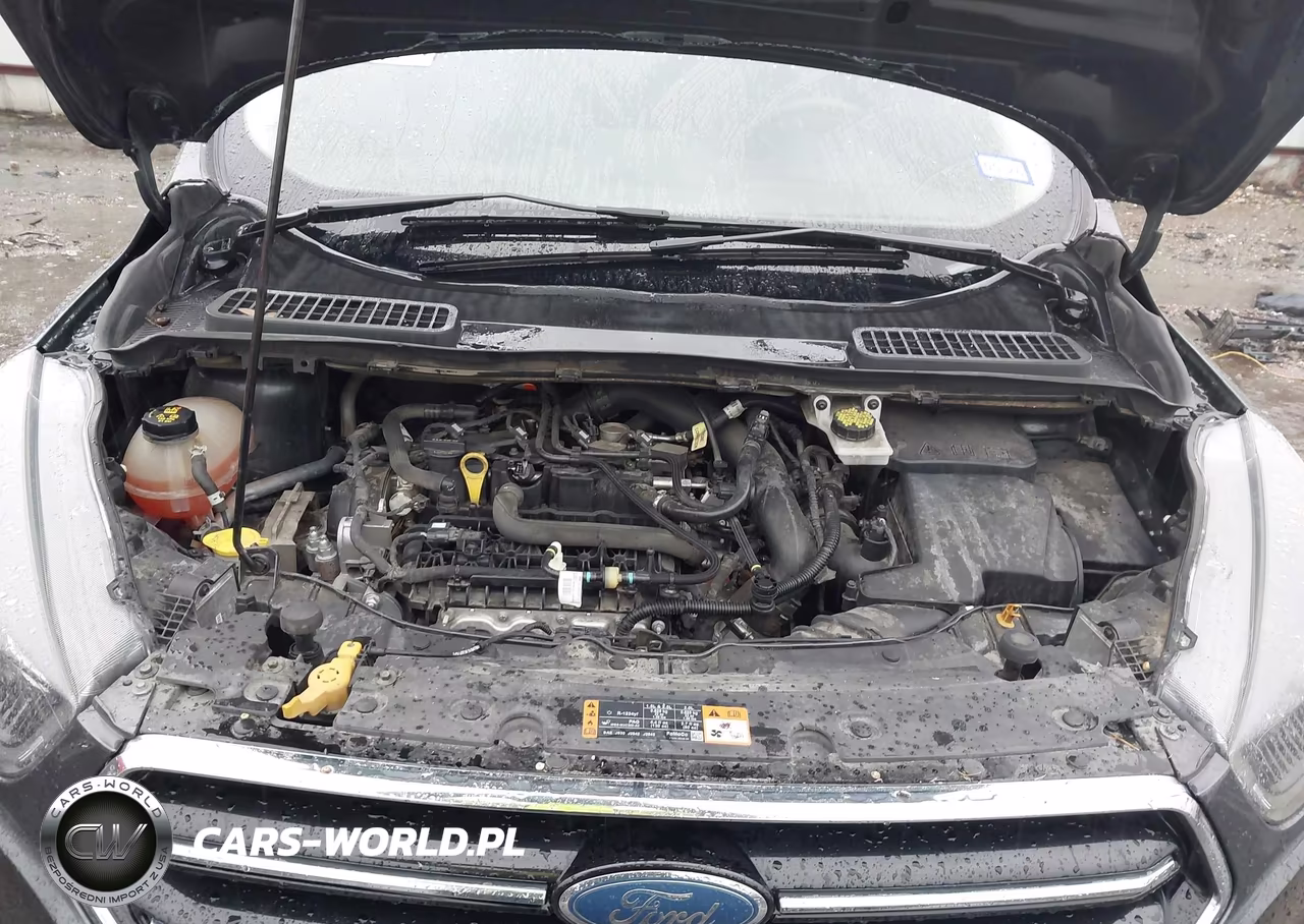 2019 Ford Escape Se VIN:1FMCU0GD3KUC02025 - 10