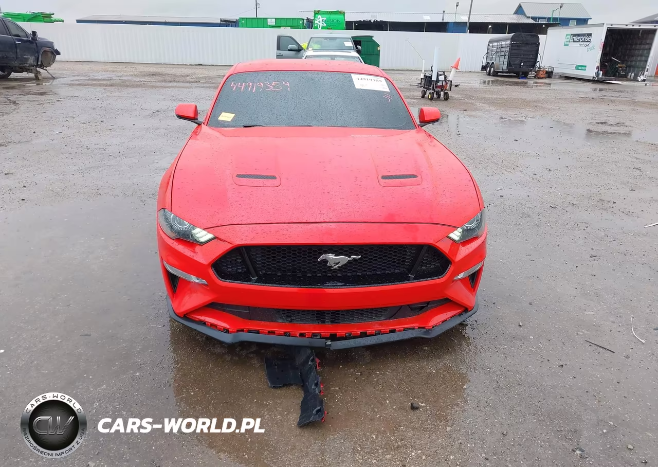 2019 Ford Mustang Gt Premium VIN:1FA6P8CF2K5195972 - 12