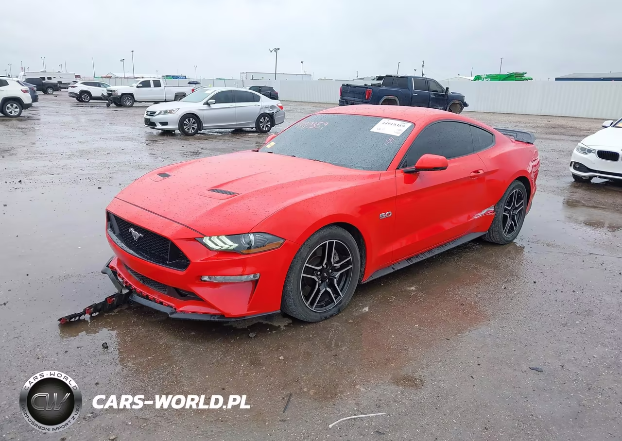 2019 Ford Mustang Gt Premium VIN:1FA6P8CF2K5195972 - 2