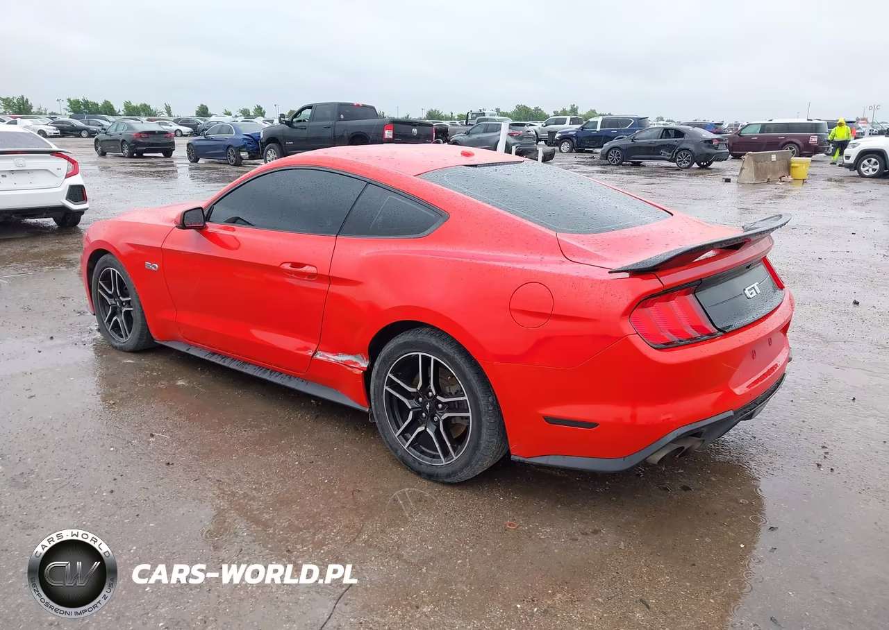 2019 Ford Mustang Gt Premium VIN:1FA6P8CF2K5195972 - 3