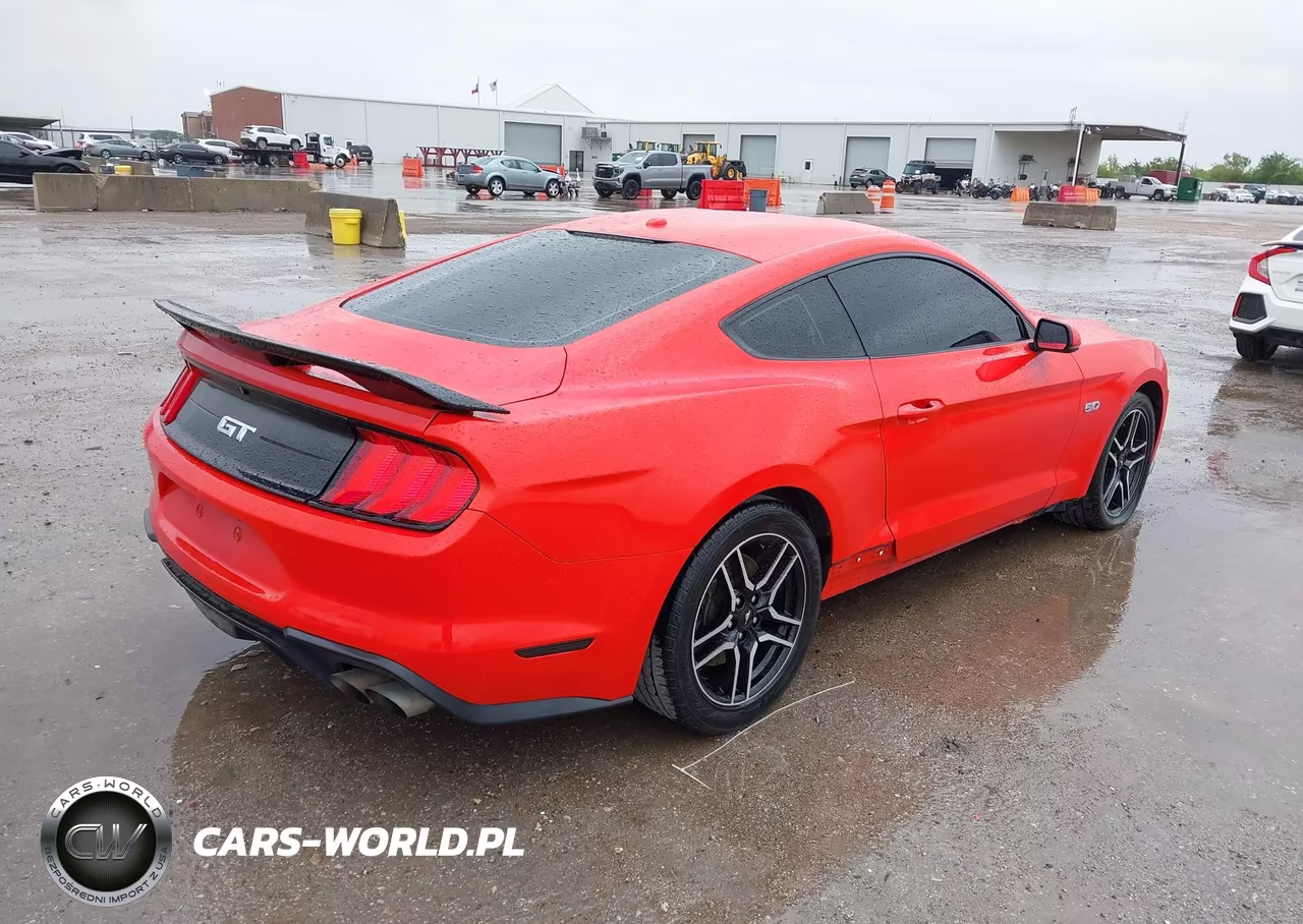 2019 Ford Mustang Gt Premium VIN:1FA6P8CF2K5195972 - 4