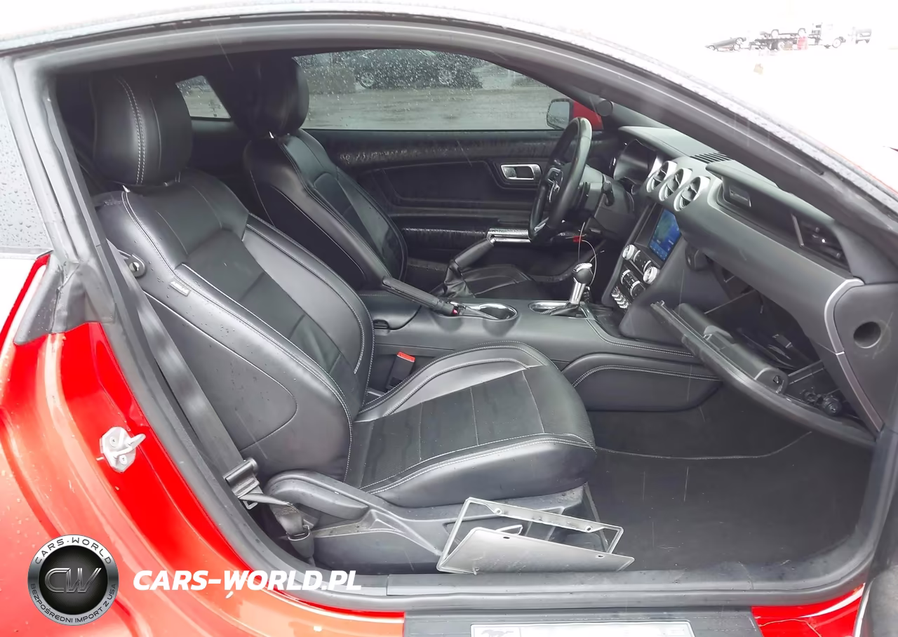 2019 Ford Mustang Gt Premium VIN:1FA6P8CF2K5195972 - 5