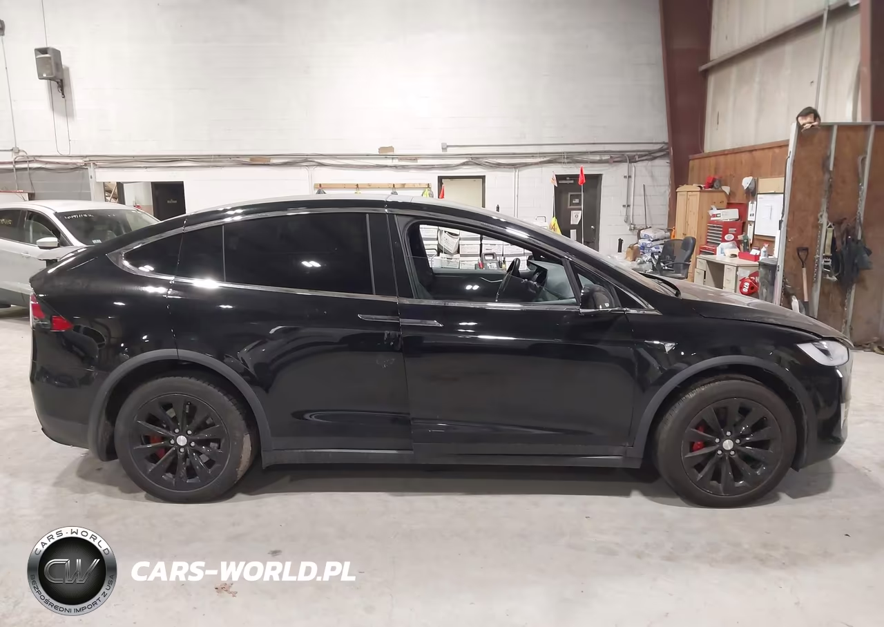 2020 Tesla Model X Performance Dual Motor All-Wheel Drive VIN:5YJXCBE40LF283065 - 13