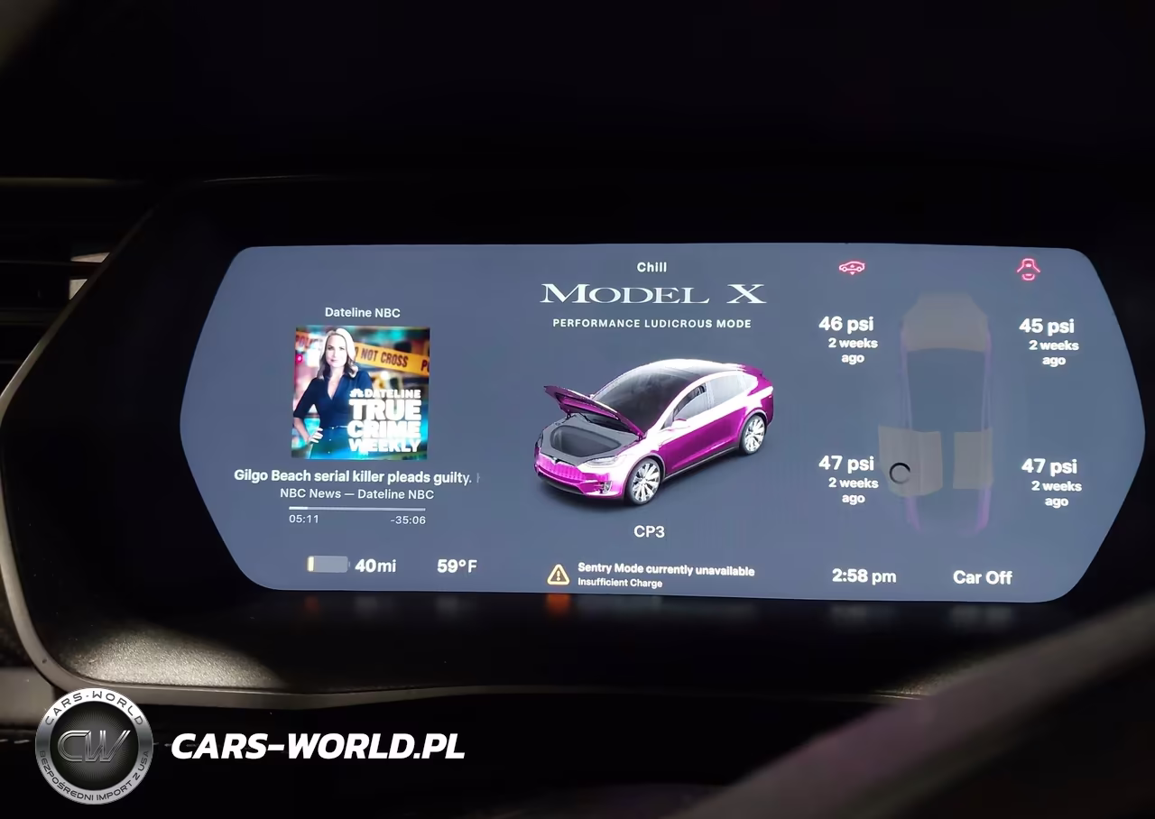 2020 Tesla Model X Performance Dual Motor All-Wheel Drive VIN:5YJXCBE40LF283065 - 17