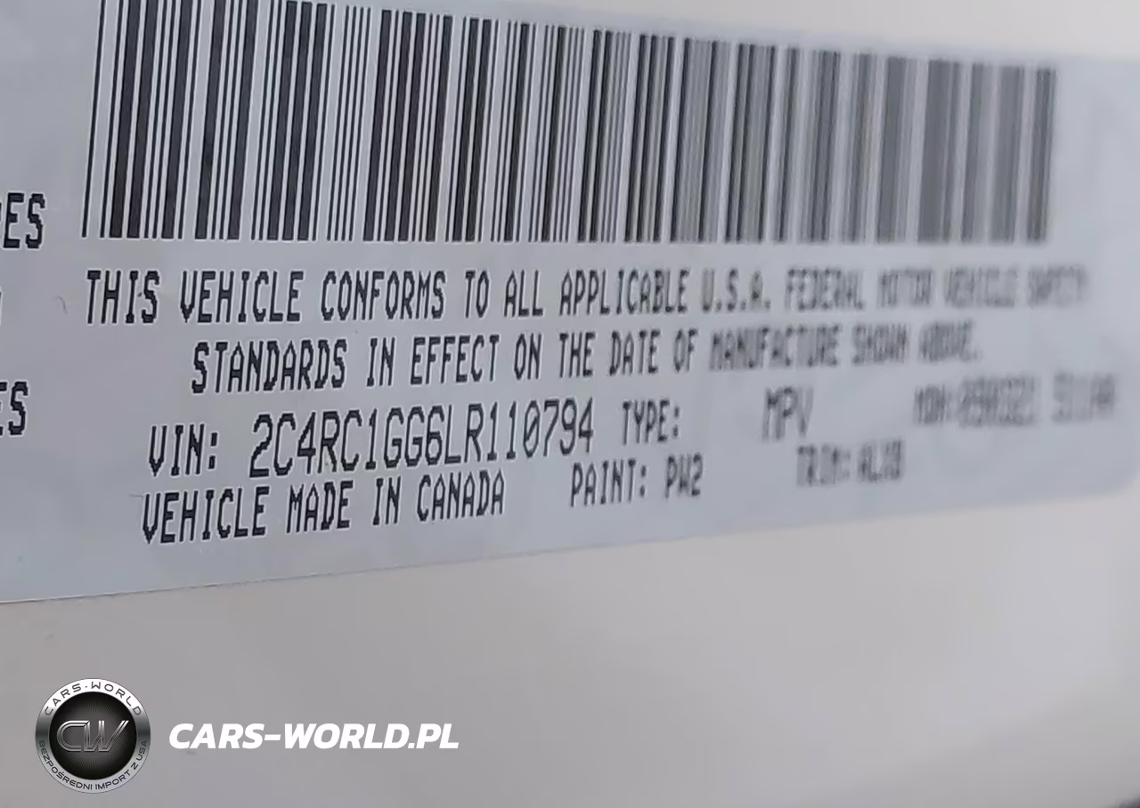 2020 Chrysler Pacifica Limited VIN:2C4RC1GG6LR110794 - 9