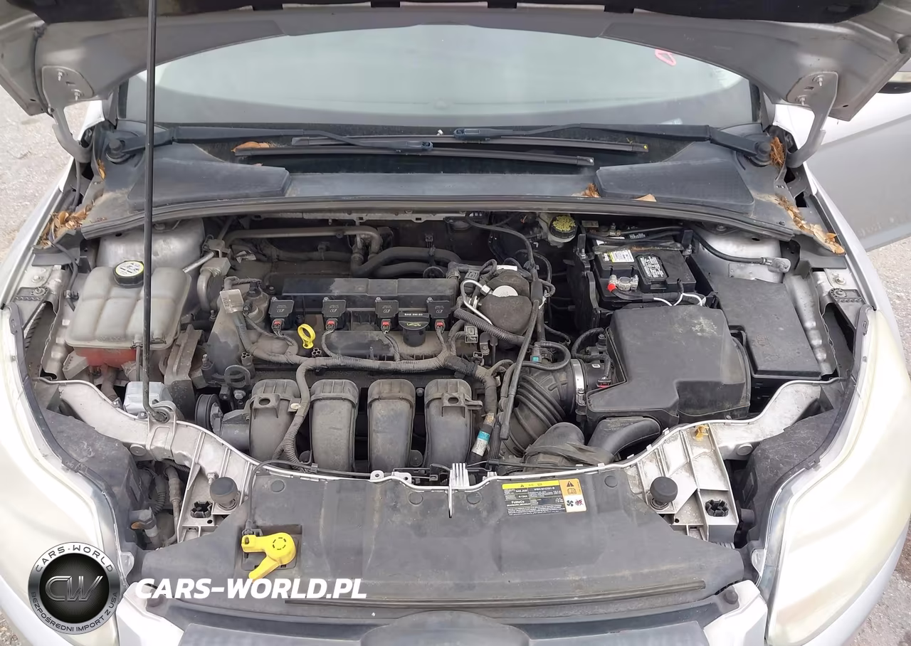 2014 Ford Focus Se VIN:1FADP3F23EL264526 - 10