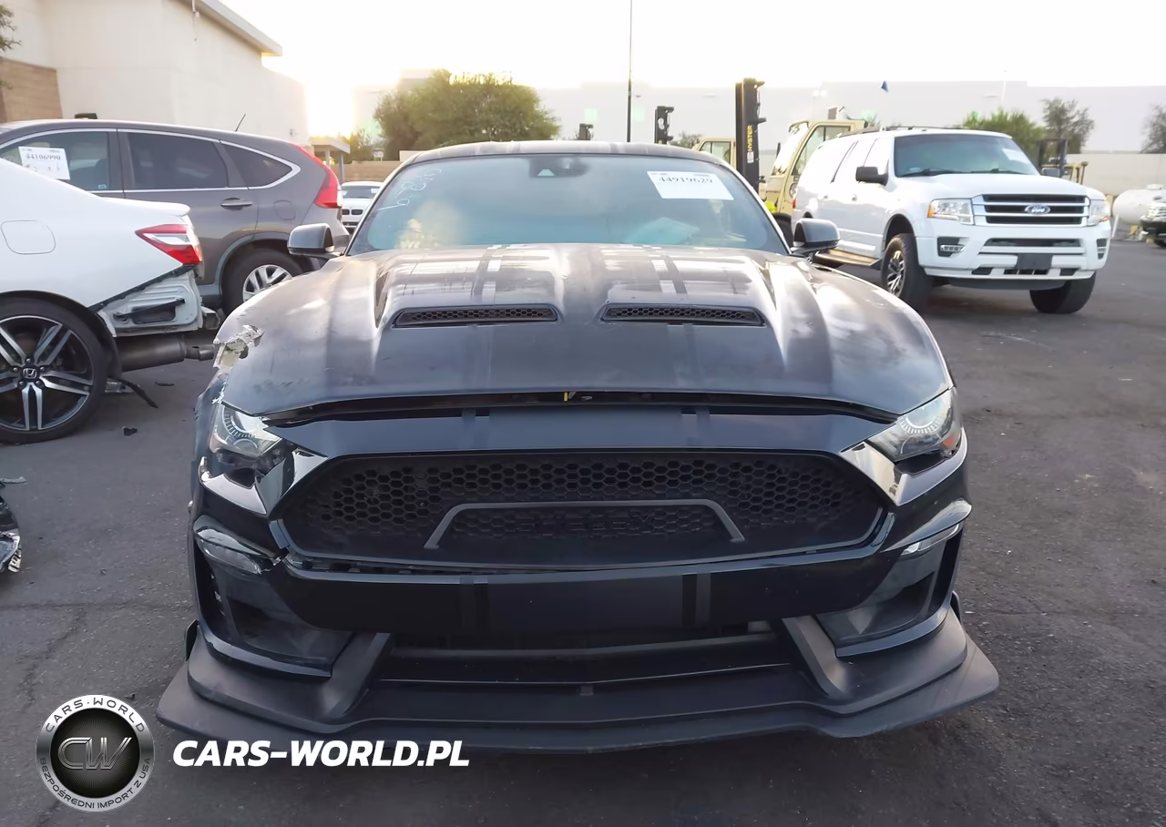 2019 Ford Mustang Gt Premium VIN:1FA6P8CF2K5190027 - 13