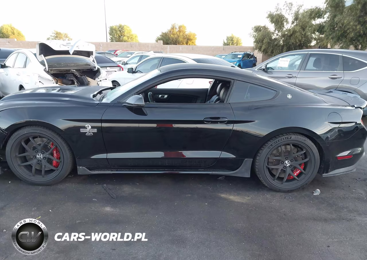 2019 Ford Mustang Gt Premium VIN:1FA6P8CF2K5190027 - 15