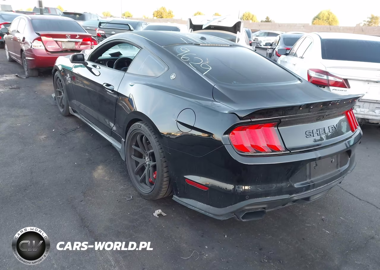 2019 Ford Mustang Gt Premium VIN:1FA6P8CF2K5190027 - 3