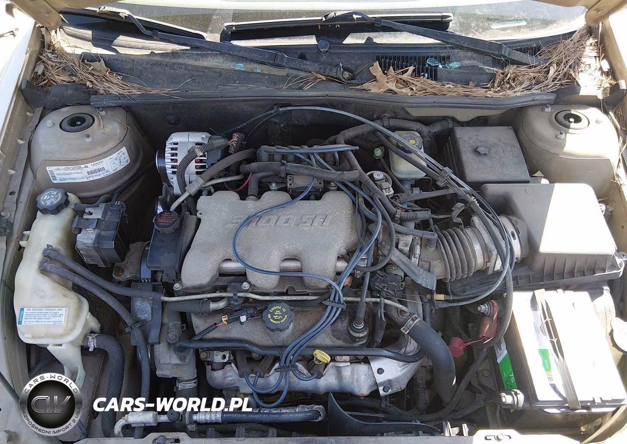 2002 Chevrolet Malibu VIN:1G1ND52J02M520975 - 10