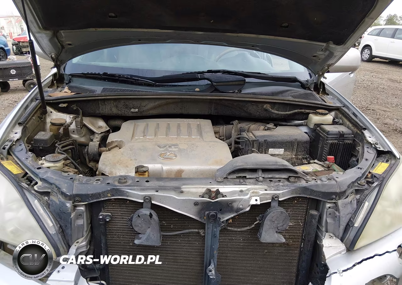 2009 Lexus Rx 350 VIN:2T2GK31U79C068161 - 10