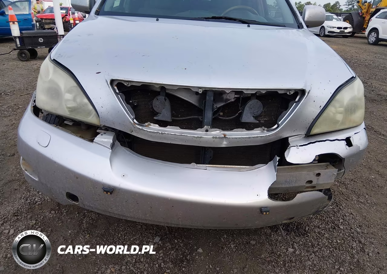 2009 Lexus Rx 350 VIN:2T2GK31U79C068161 - 6