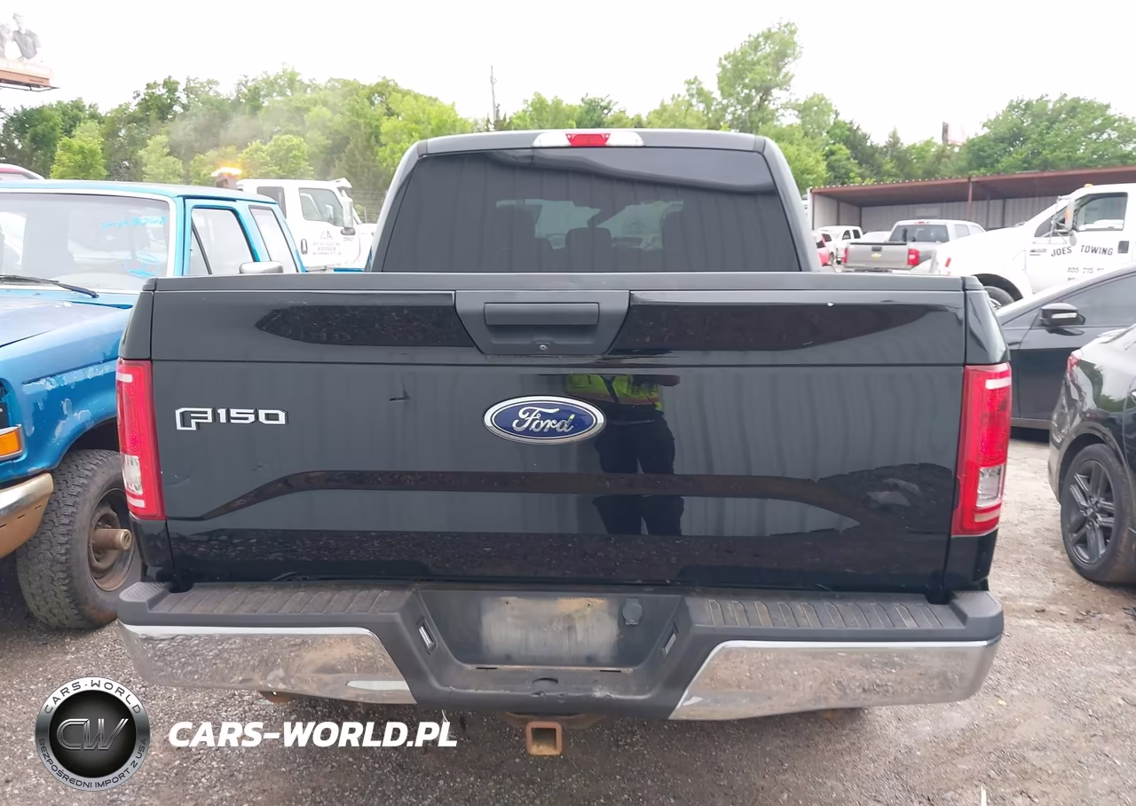2017 Ford F-150 Xlt VIN:1FTEW1EF6HKE25746 - 16