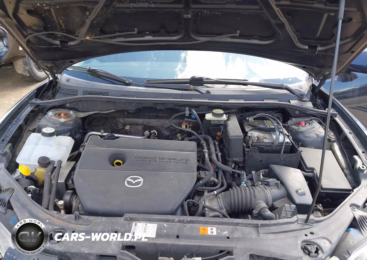 2009 Mazda Mazda3 I VIN:JM1BK32G391210520 - 10