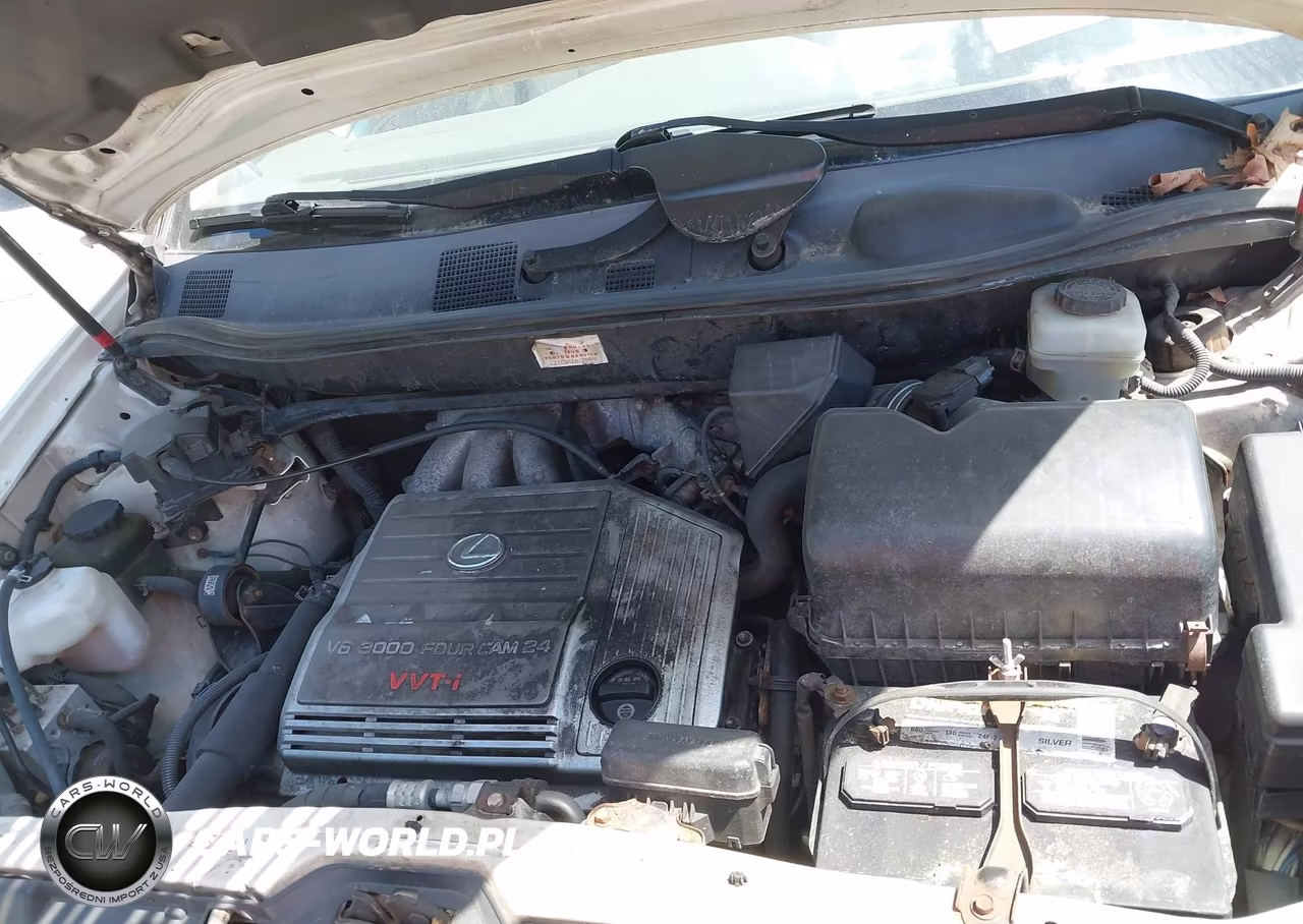 2001 Lexus Rx 300 VIN:JTJGF10U010113256 - 10