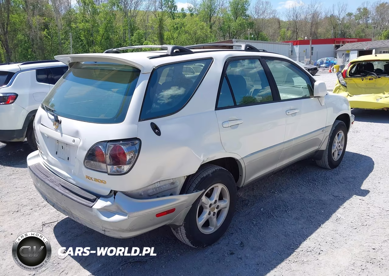 2001 Lexus Rx 300 VIN:JTJGF10U010113256 - 4