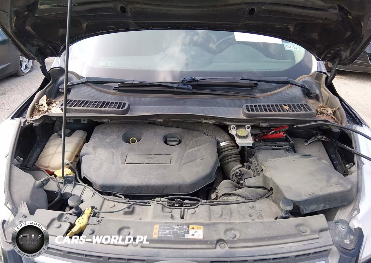 2016 Ford Escape Se VIN:1FMCU0G95GUB84422 - 10