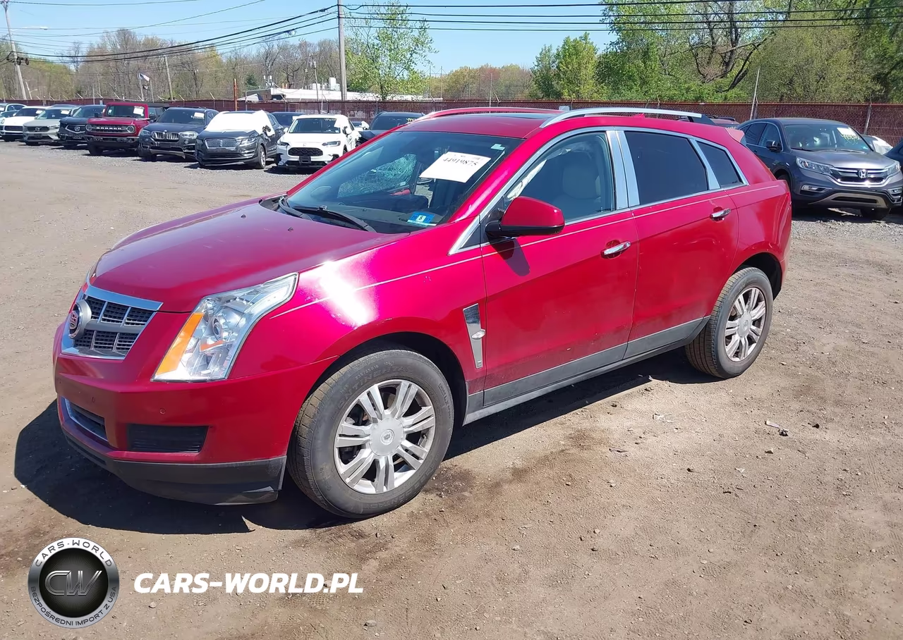 2011 Cadillac Srx Luxury Collection VIN:3GYFNAEY3BS524636 - 2