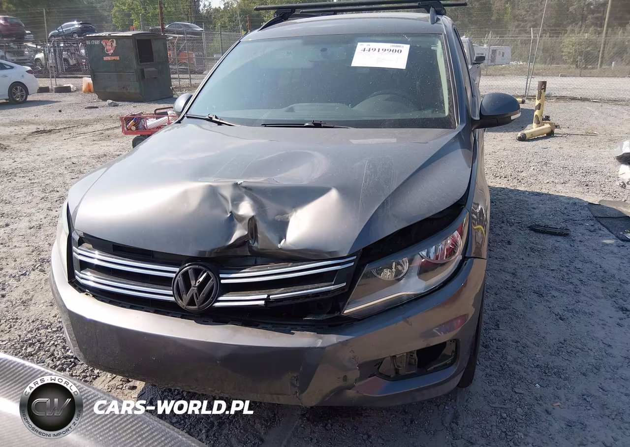 2015 Volkswagen Tiguan S VIN:WVGAV7AXXFW611052 - 12