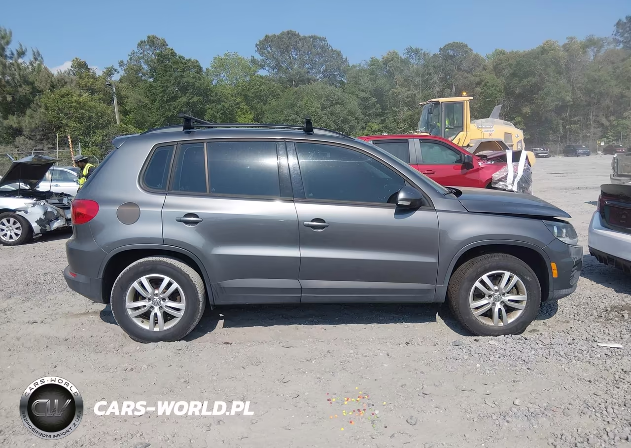 2015 Volkswagen Tiguan S VIN:WVGAV7AXXFW611052 - 13