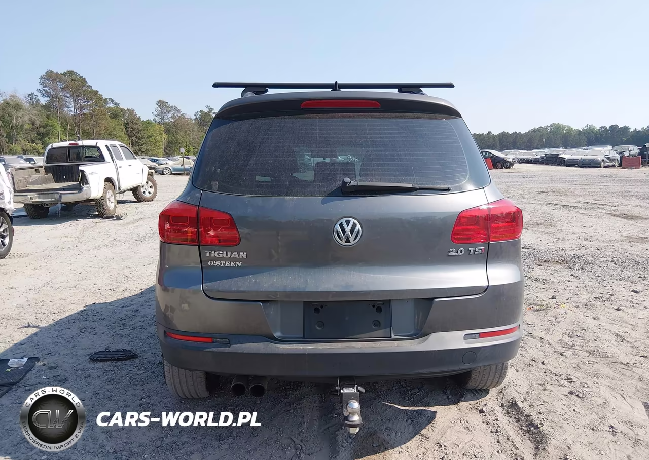 2015 Volkswagen Tiguan S VIN:WVGAV7AXXFW611052 - 16