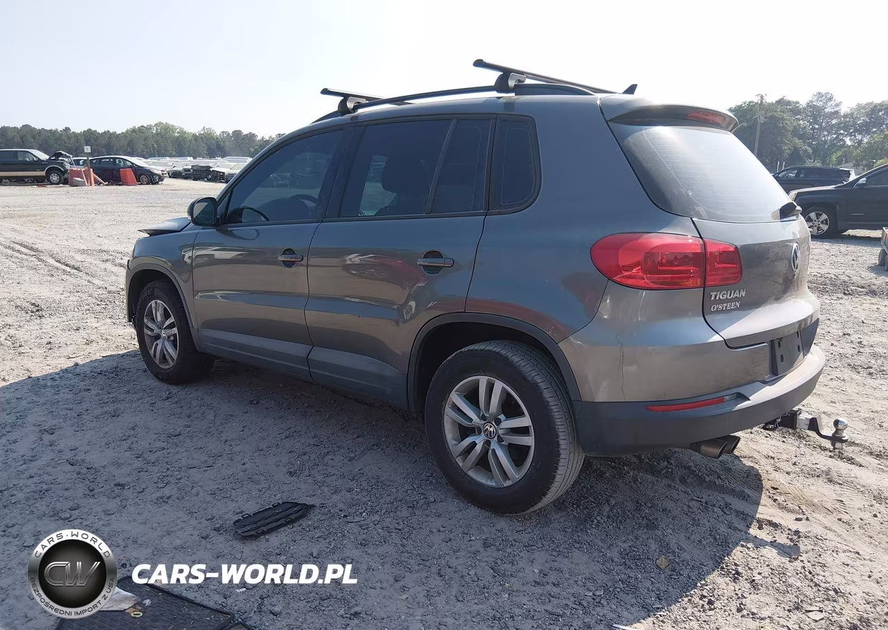2015 Volkswagen Tiguan S VIN:WVGAV7AXXFW611052 - 3
