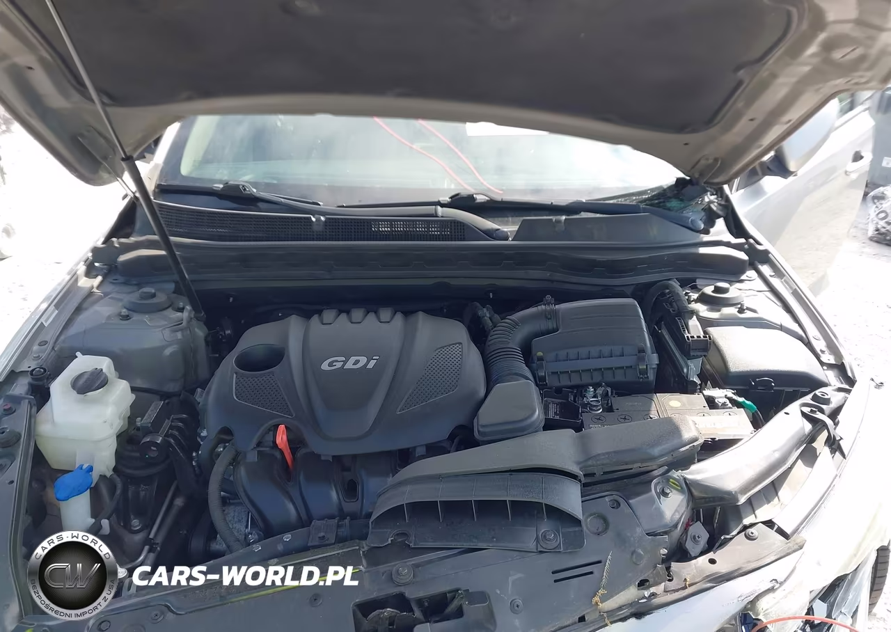 2015 Kia Optima Lx VIN:5XXGM4A77FG438799 - 10