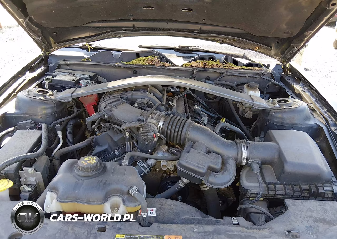 2012 Ford Mustang V6 Premium VIN:1ZVBP8EM7C5215703 - 10