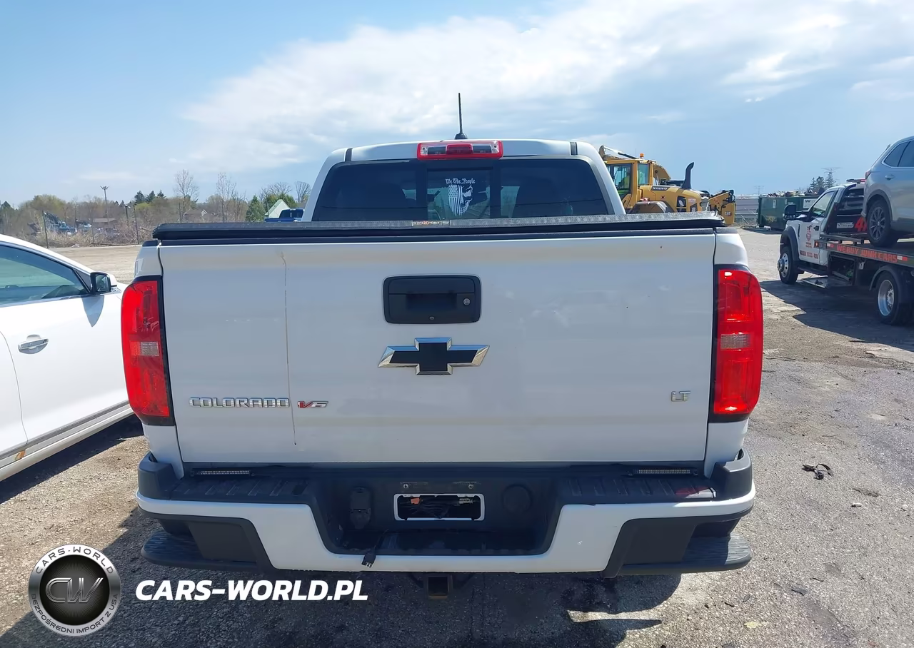 2020 Chevrolet Colorado 4Wd Short Box Lt VIN:1GCGTCEN6L1200584 - 16