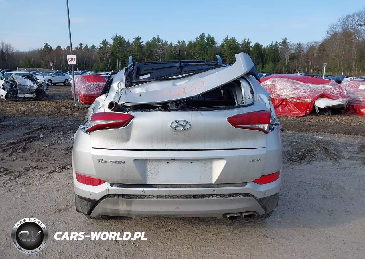 2017 Hyundai Tucson Value VIN:KM8J3CA25HU570038 - 16