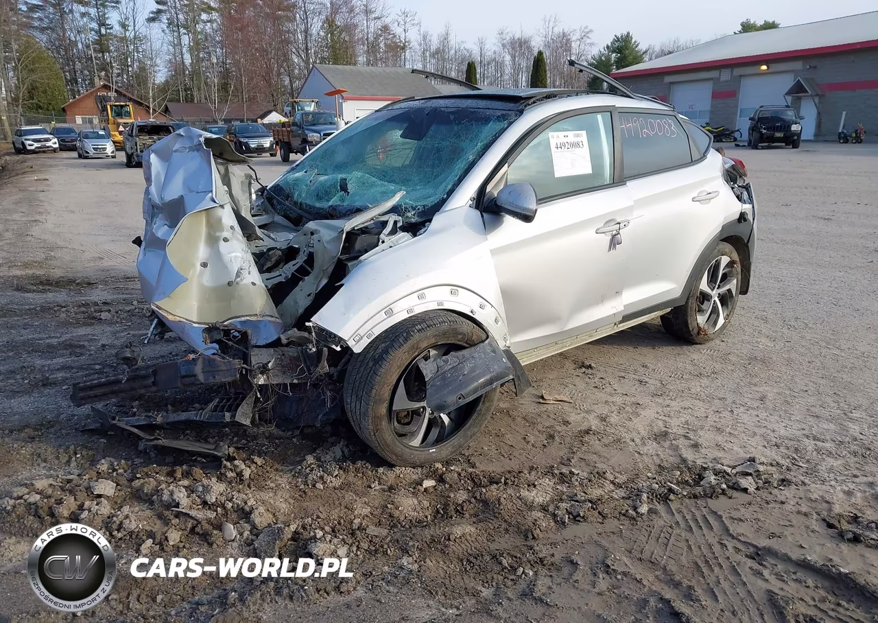 2017 Hyundai Tucson Value VIN:KM8J3CA25HU570038 - 2