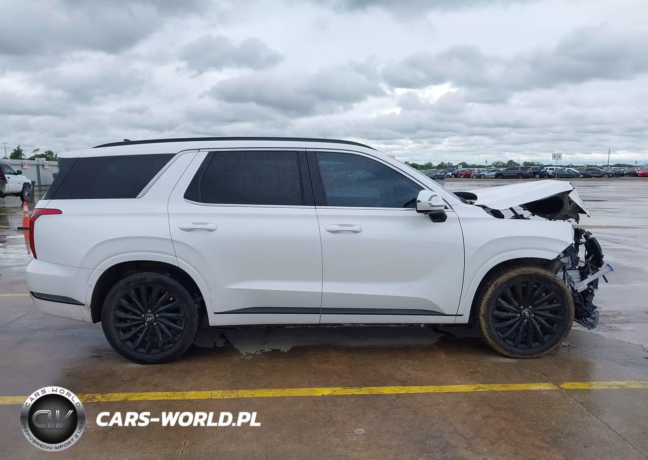 2024 Hyundai Palisade Calligraphy Night Edition VIN:KM8R7DGE5RU702294 - 13