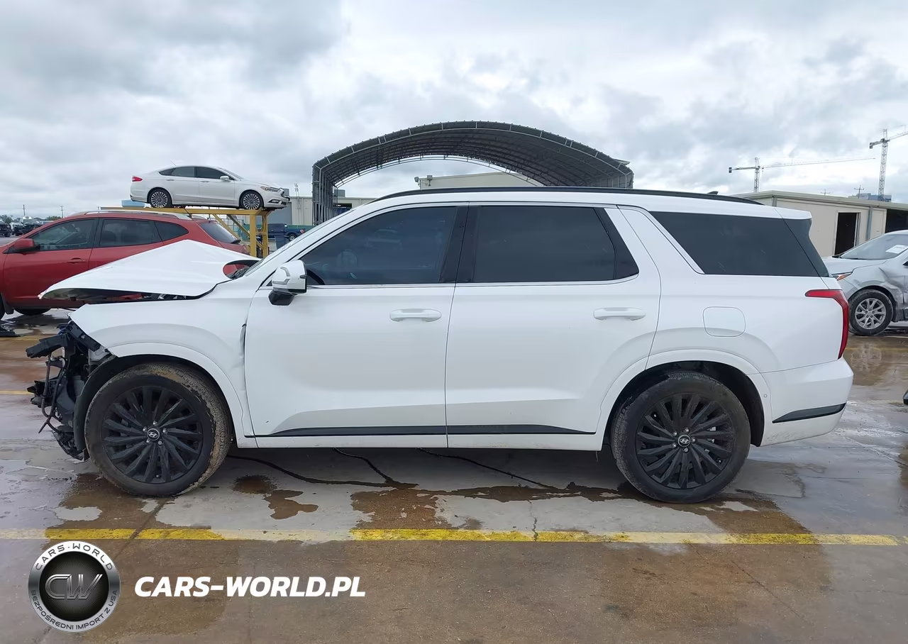 2024 Hyundai Palisade Calligraphy Night Edition VIN:KM8R7DGE5RU702294 - 14
