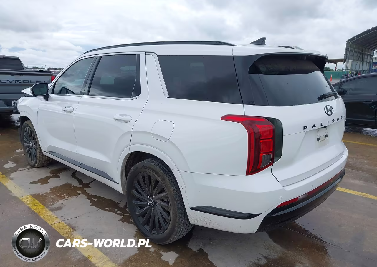 2024 Hyundai Palisade Calligraphy Night Edition VIN:KM8R7DGE5RU702294 - 3