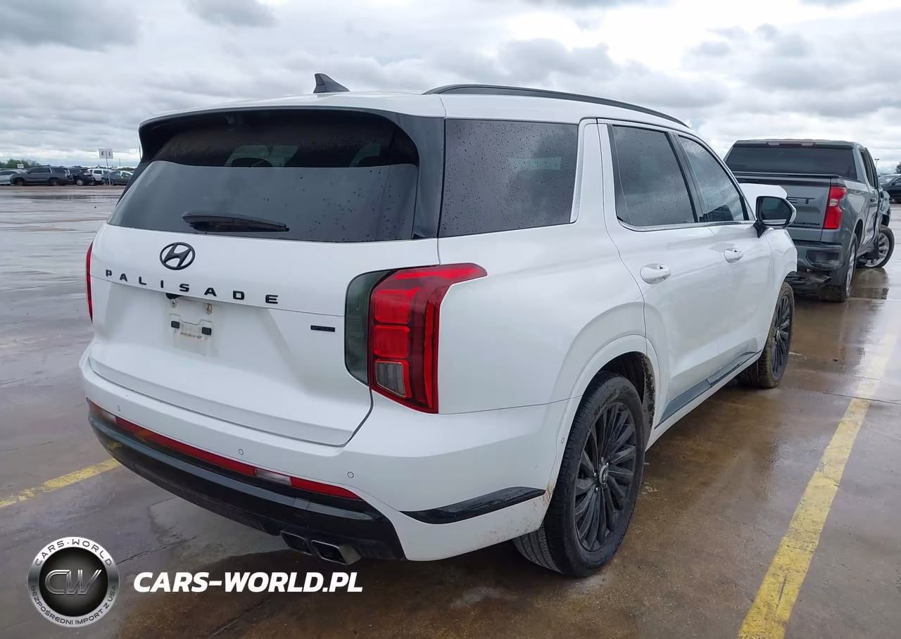 2024 Hyundai Palisade Calligraphy Night Edition VIN:KM8R7DGE5RU702294 - 4