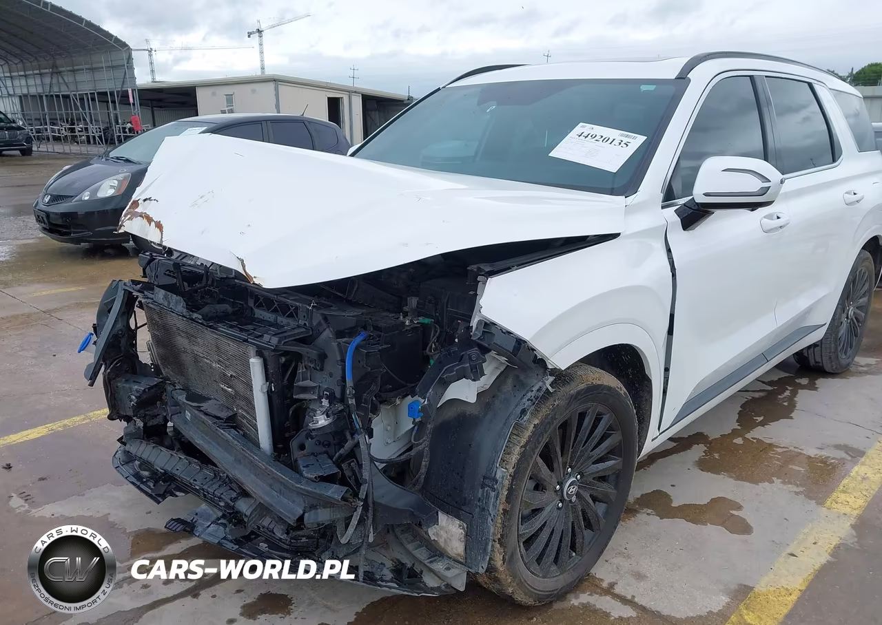2024 Hyundai Palisade Calligraphy Night Edition VIN:KM8R7DGE5RU702294 - 6