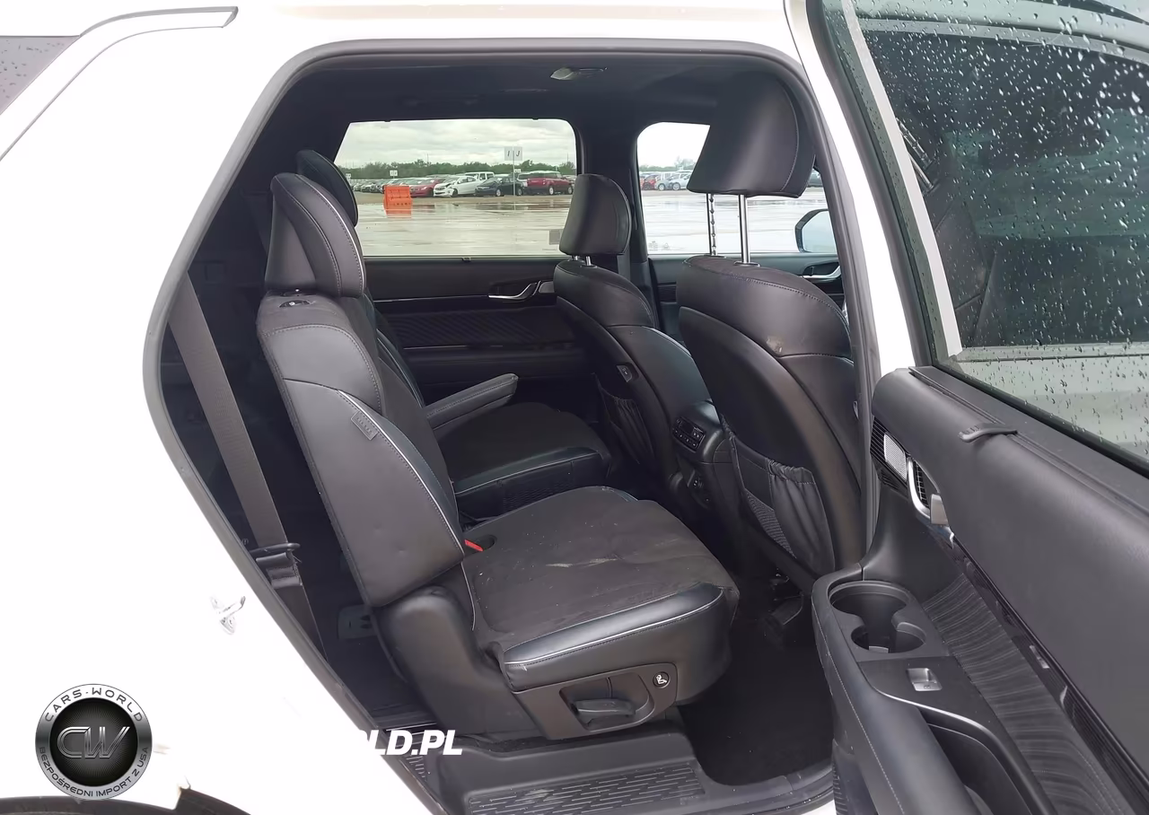 2024 Hyundai Palisade Calligraphy Night Edition VIN:KM8R7DGE5RU702294 - 8