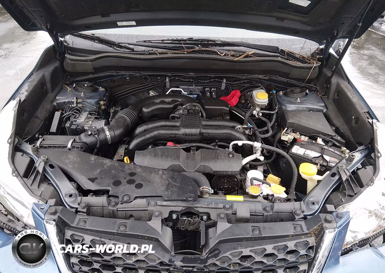 2016 Subaru Forester 2.5I Premium VIN:JF2SJAFC5GH482829 - 10