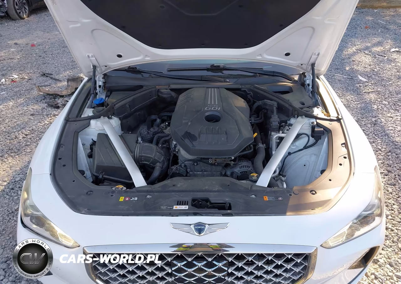 2019 Genesis G70 2.0T Advanced VIN:KMTG34LA0KU018416 - 10